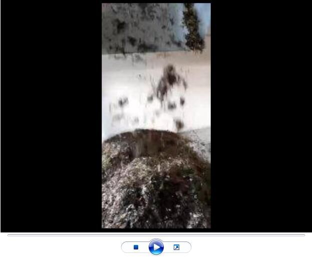 點擊查看詳細信息<br>標題：玄武巖纖維生產(chǎn)中【視頻】 閱讀次數(shù)：2709